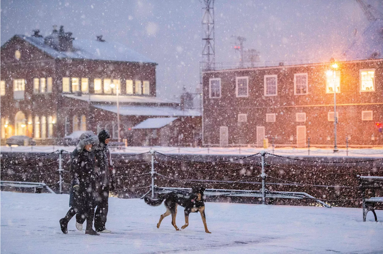 Winter Storm Alerts for 17 States as Intense Snow Forecast