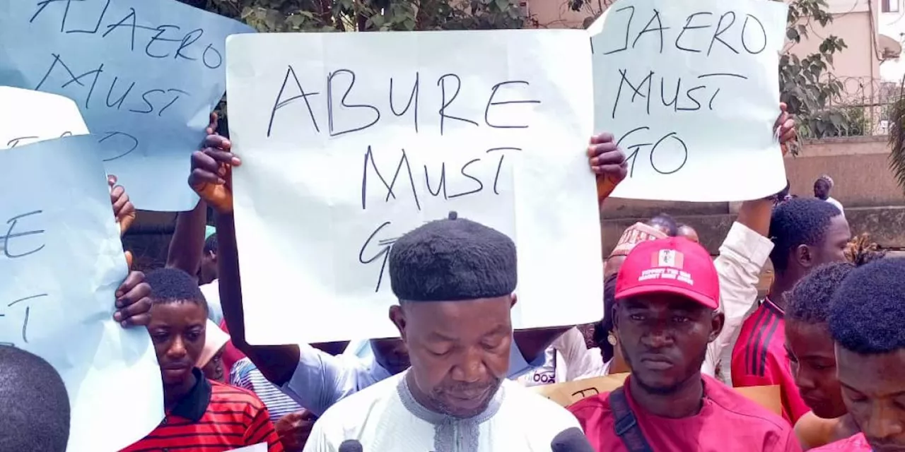 JUST IN: Labour Party members protest in Abuja, demand resignation of Abure and Ajaero