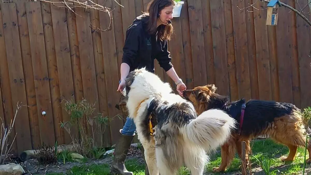 Brucker Tierheim lud zum Frühlingsfest