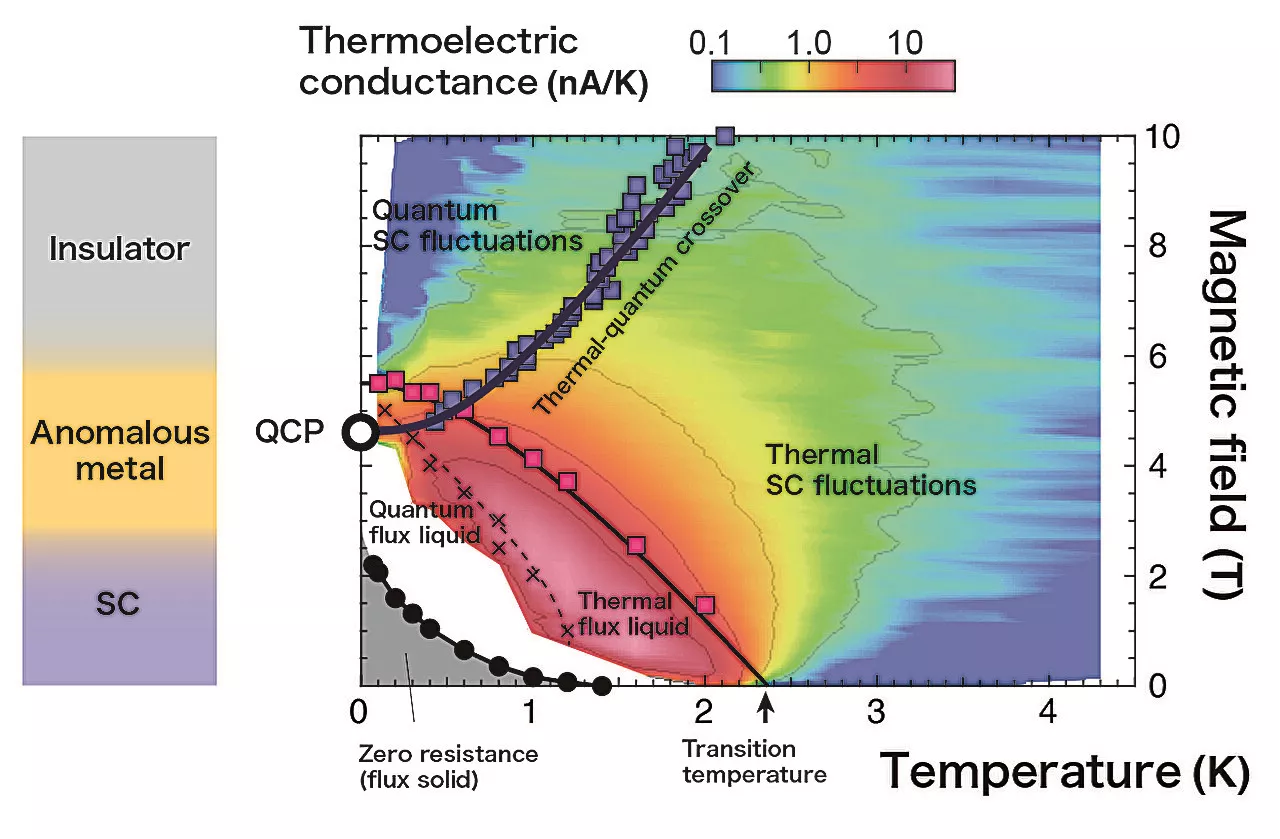 Discovery of a hidden quantum critical point in two-dimensional superconductors