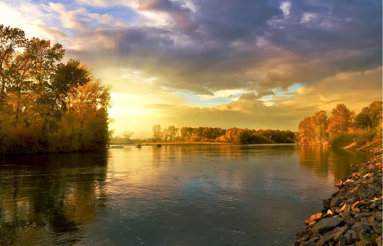 Reviving England's polluted rivers through incentivizing farmers and comprehensive monitoring