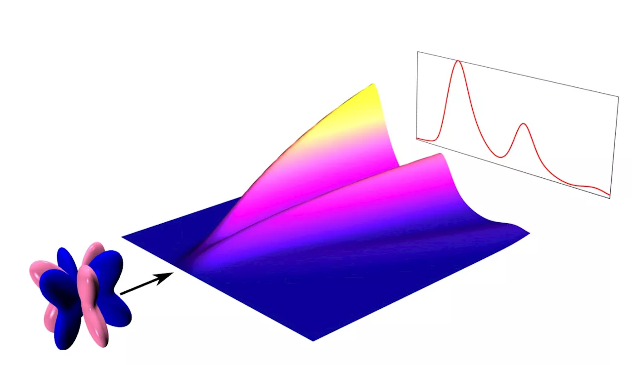 Study outlines spectroscopic signatures of fractionalization in octupolar quantum spin ice