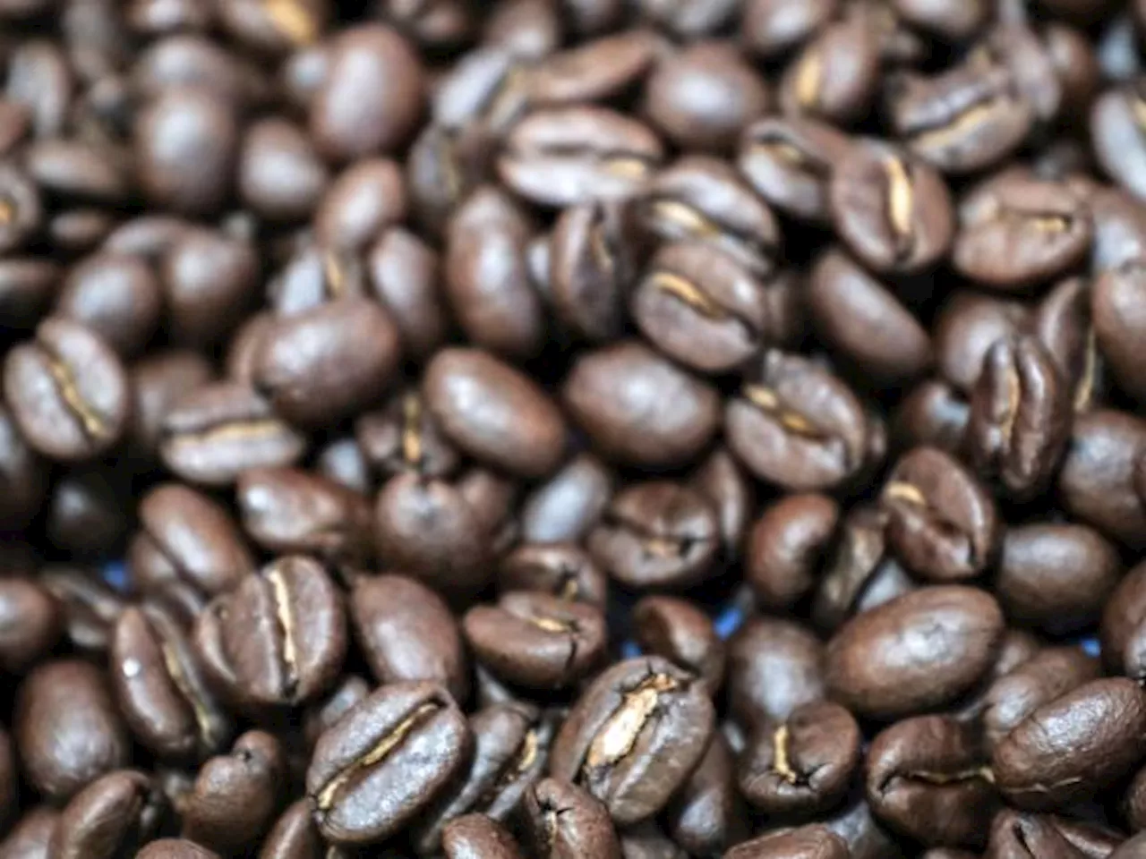 Aprueban medidas para mejorar precio interno del café en Colombia