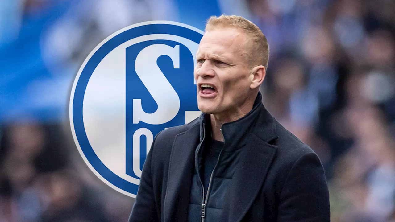 Schalke 04: Trainer Geraerts verbannt Baumgartl in die U23 - Asamoah geht im Sommer