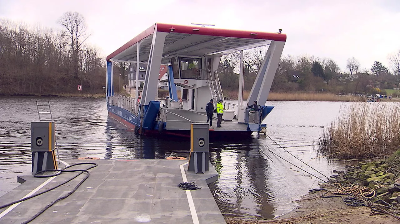 Fähr-Fiasko an der Schlei: Drei-Millionen-Euro-Schiff zu schwach für die Strömung