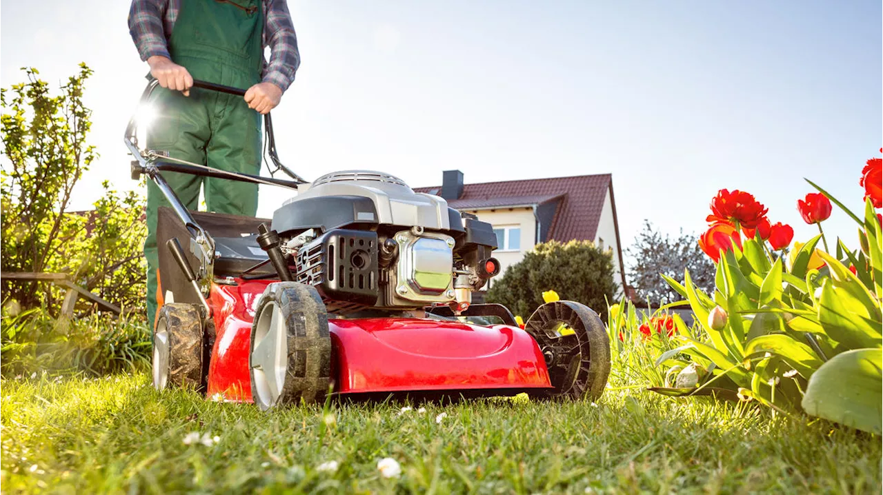 Rasen-Pflege: Diese Fehler sollten Hobby-Gärtner unbedingt vermeiden