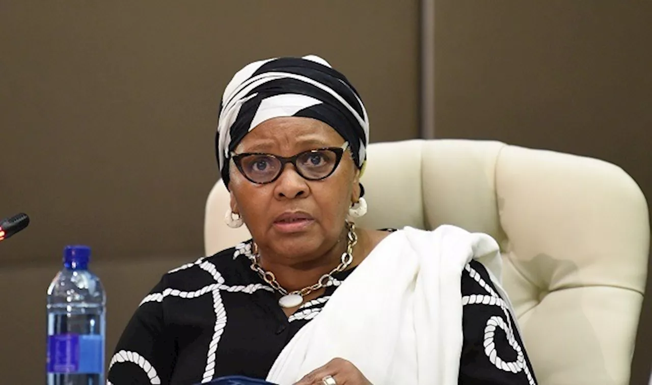 DA calls for immediate resignation of Mapisa-Nqakula - SABC News - Breaking news, special reports, world,