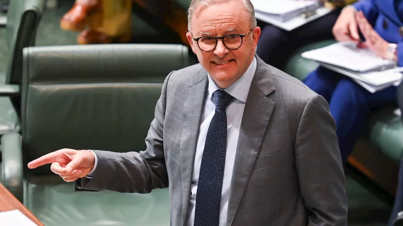 Albanese hits out at Liberals as Labor give up on Cook by-election