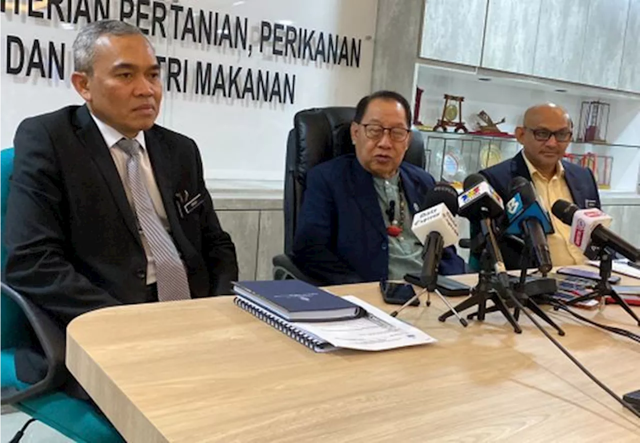 Water council to propose several ways to safeguard water sources to Sabah government