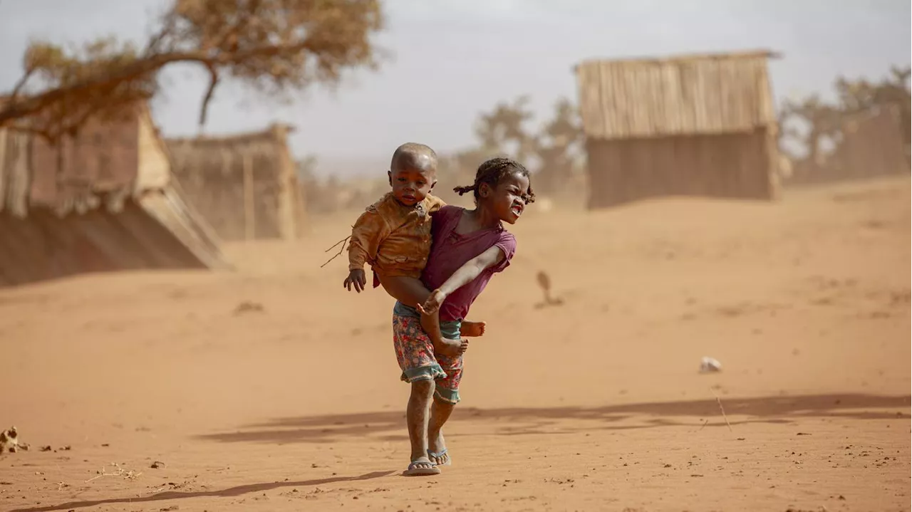 Tödlicher Klimawandel: Bericht prognostiziert Millionen Opfer durch Erderwärmung