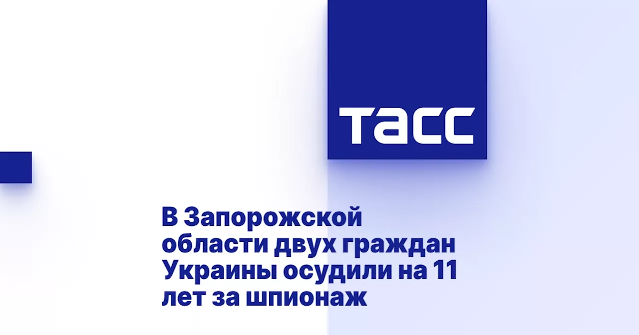 В Запорожской области двух граждан Украины осудили на 11 лет за шпионаж