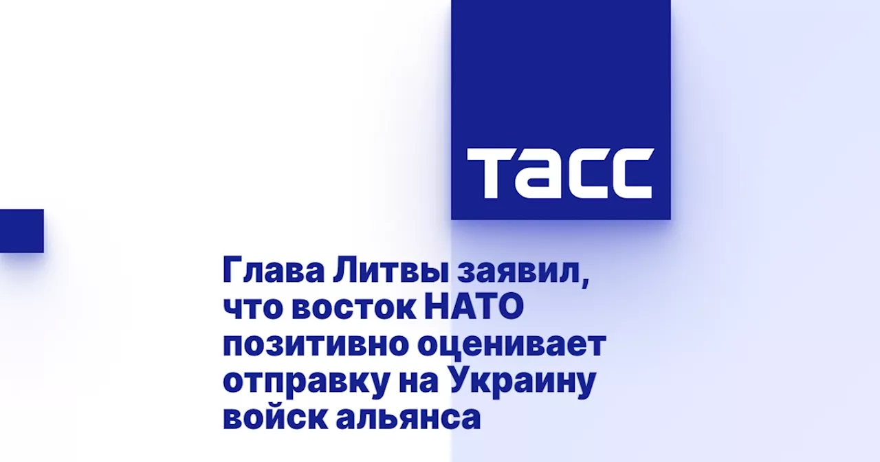 Глава Литвы заявил, что восток НАТО позитивно оценивает отправку на Украину войск альянса