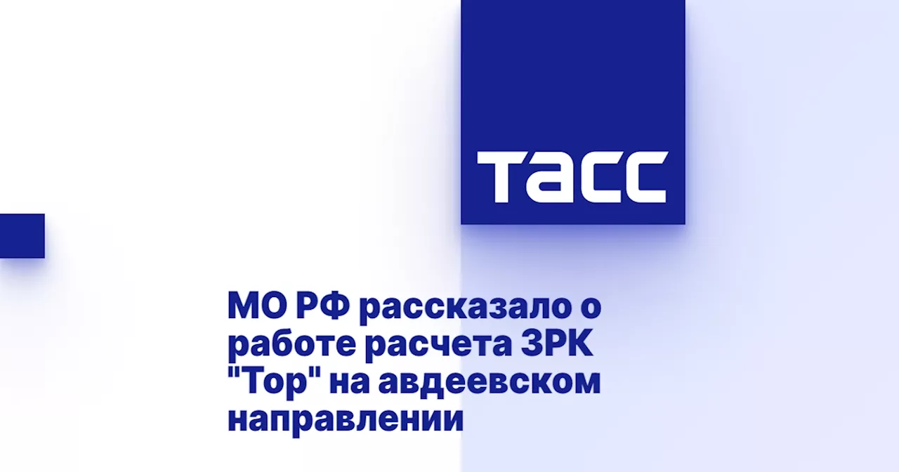 МО РФ рассказало о работе расчета ЗРК 'Тор' на авдеевском направлении