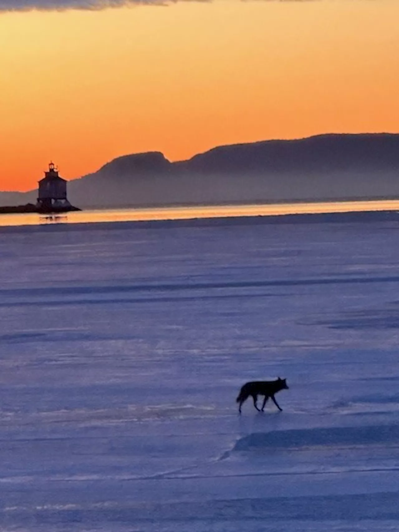 Good Morning, Thunder Bay!