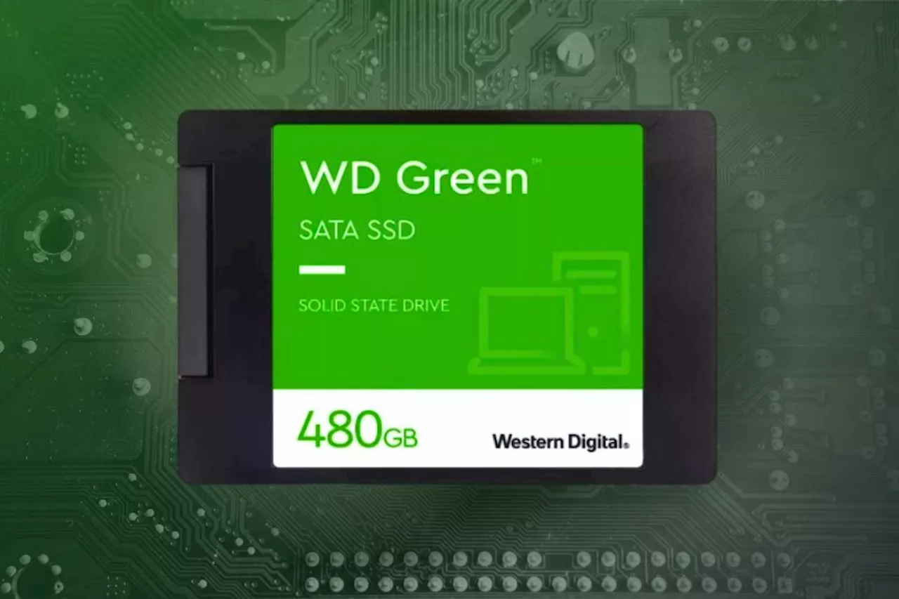 Oportunidade: SSD Western Digital Green de 480 GB com 63% de desconto na Amazon