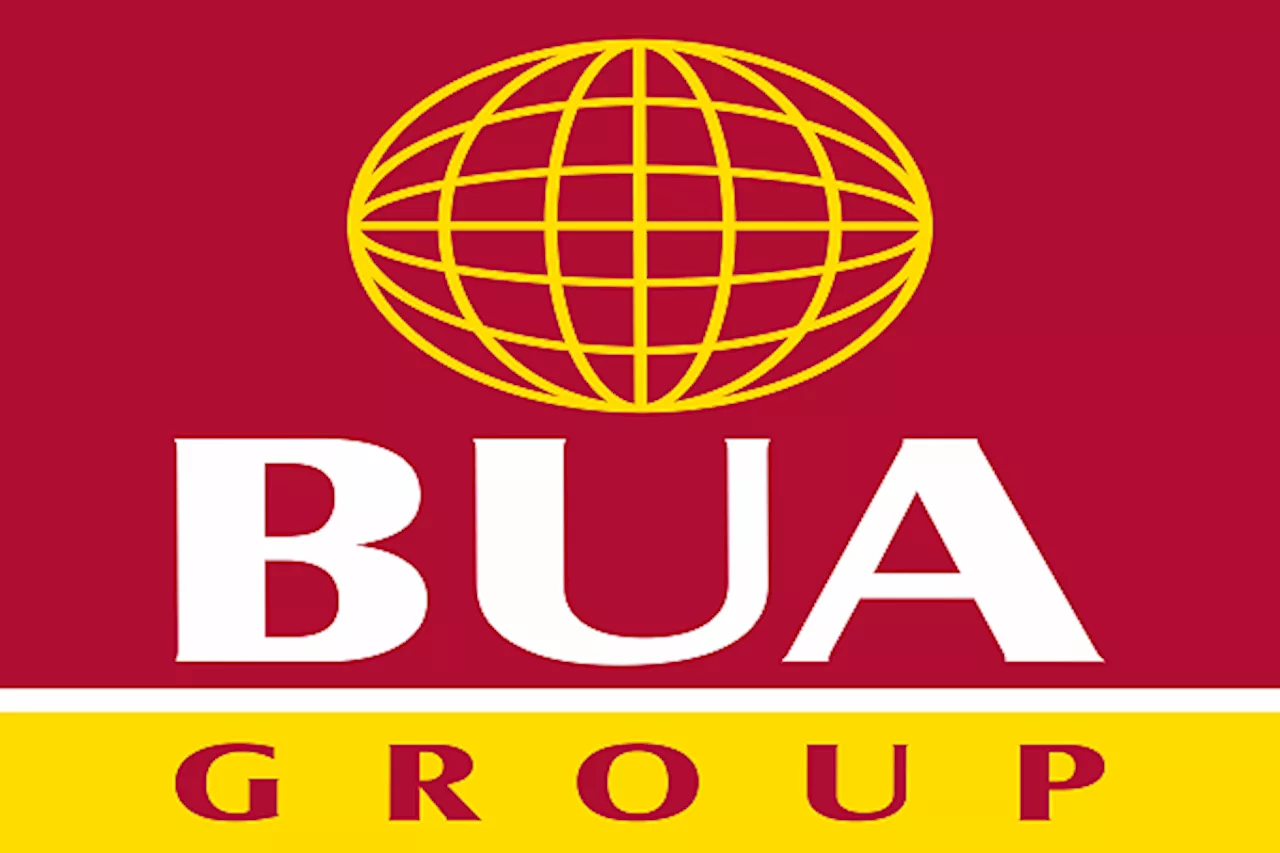 Benin-Lokoja Road: BUA gets tax credit contract on 60-km stretch