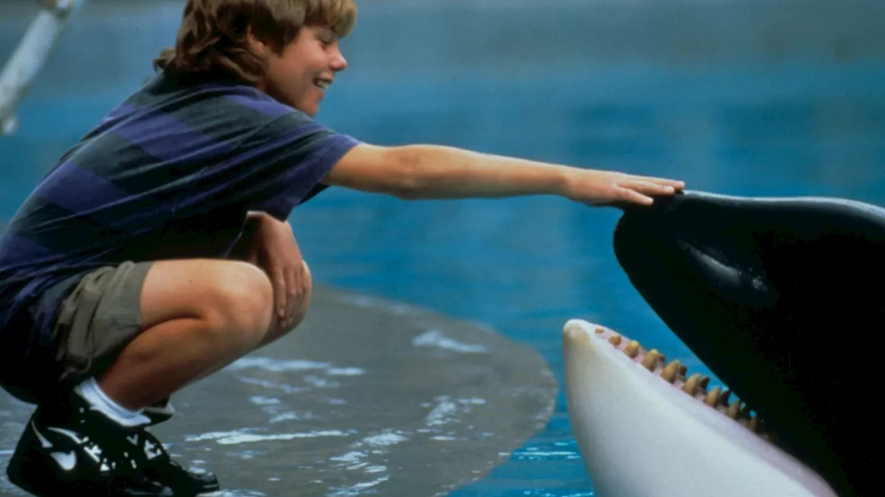 Free Willy star unrecognisable three decades after hit 90s movie as he reunites with co-star...