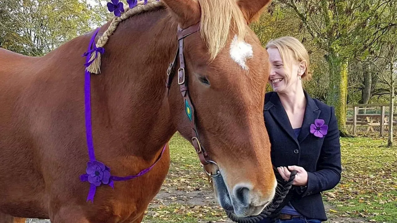 If you ride a horse, it WILL get spooked and you WILL fall off