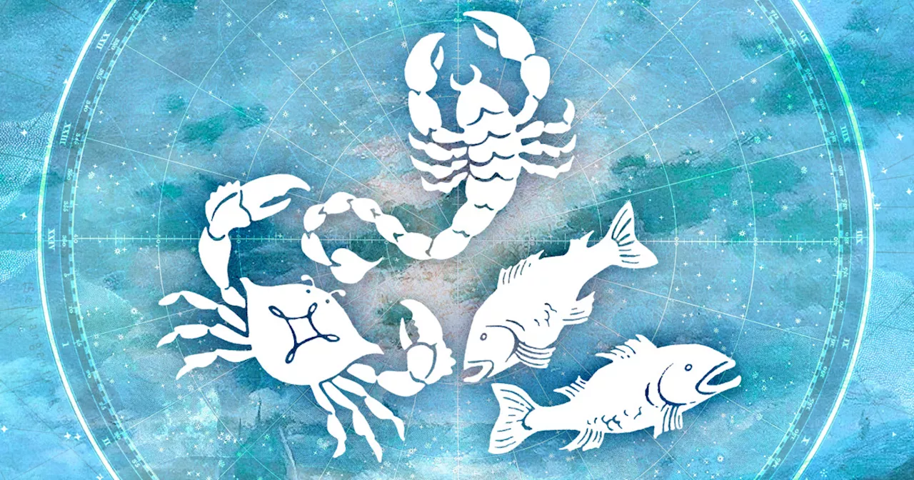 Water Signs Explained: All About Cancer, Pisces And Scorpio