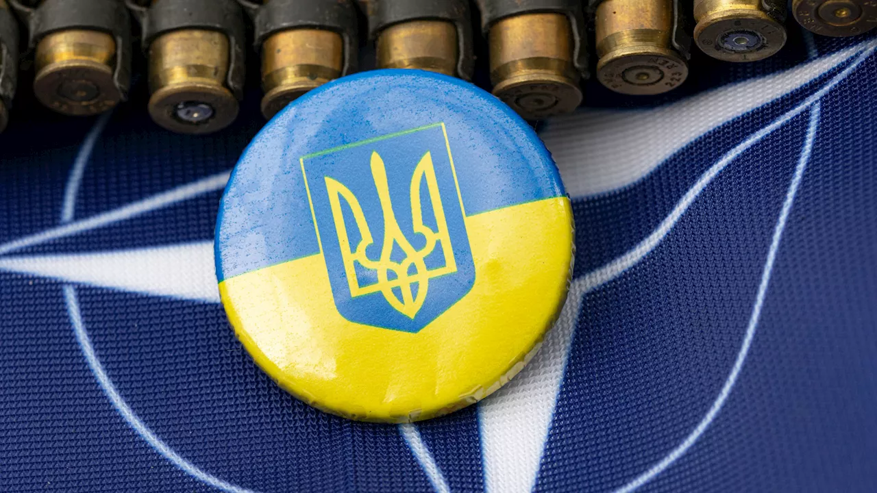 НАТО не планирует отправлять войска на Украину