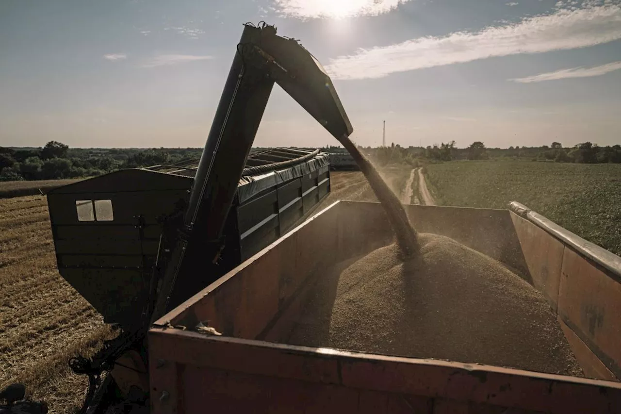 EU Is Set to Impose Punitive Tariffs on Russian Grain