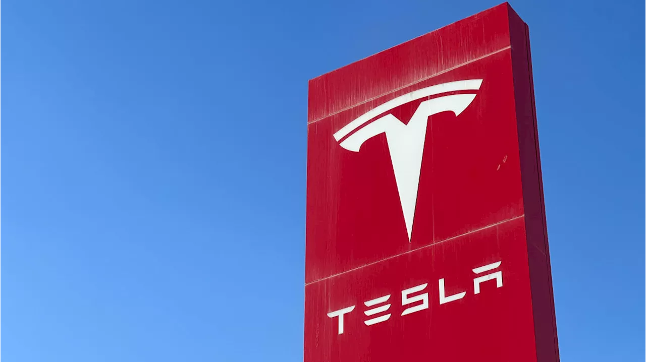 Tesla reduces production of EVs at China factory: BBG