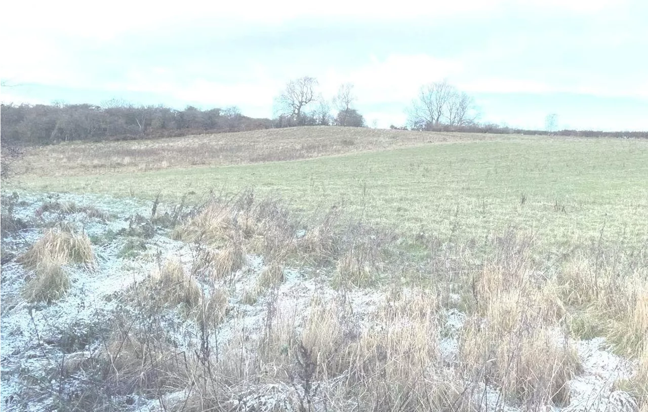 More than 100 homes could be built on land at former Yorkshire farm