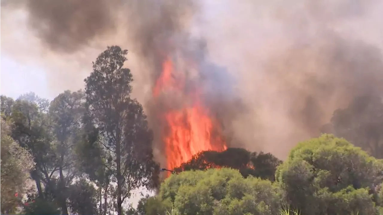 Police search for suspected arsonists in Perth