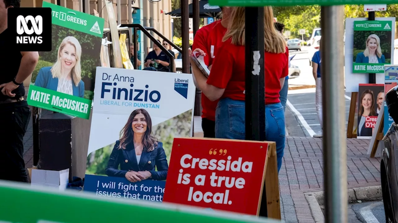 Dunstan by-election vote counting underway as Liberals apologise over 'misleading' statement