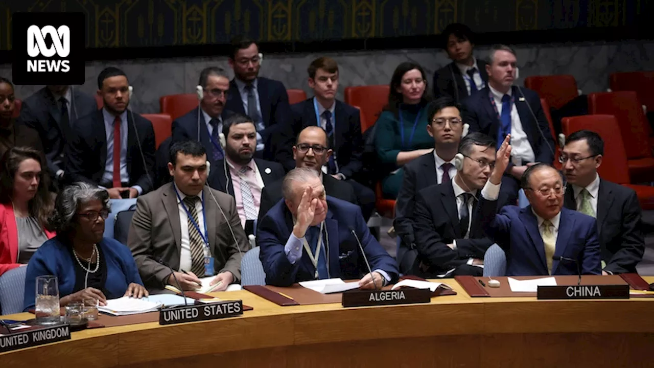 Russia and China vote against UN Security Council ceasefire resolution in Gaza