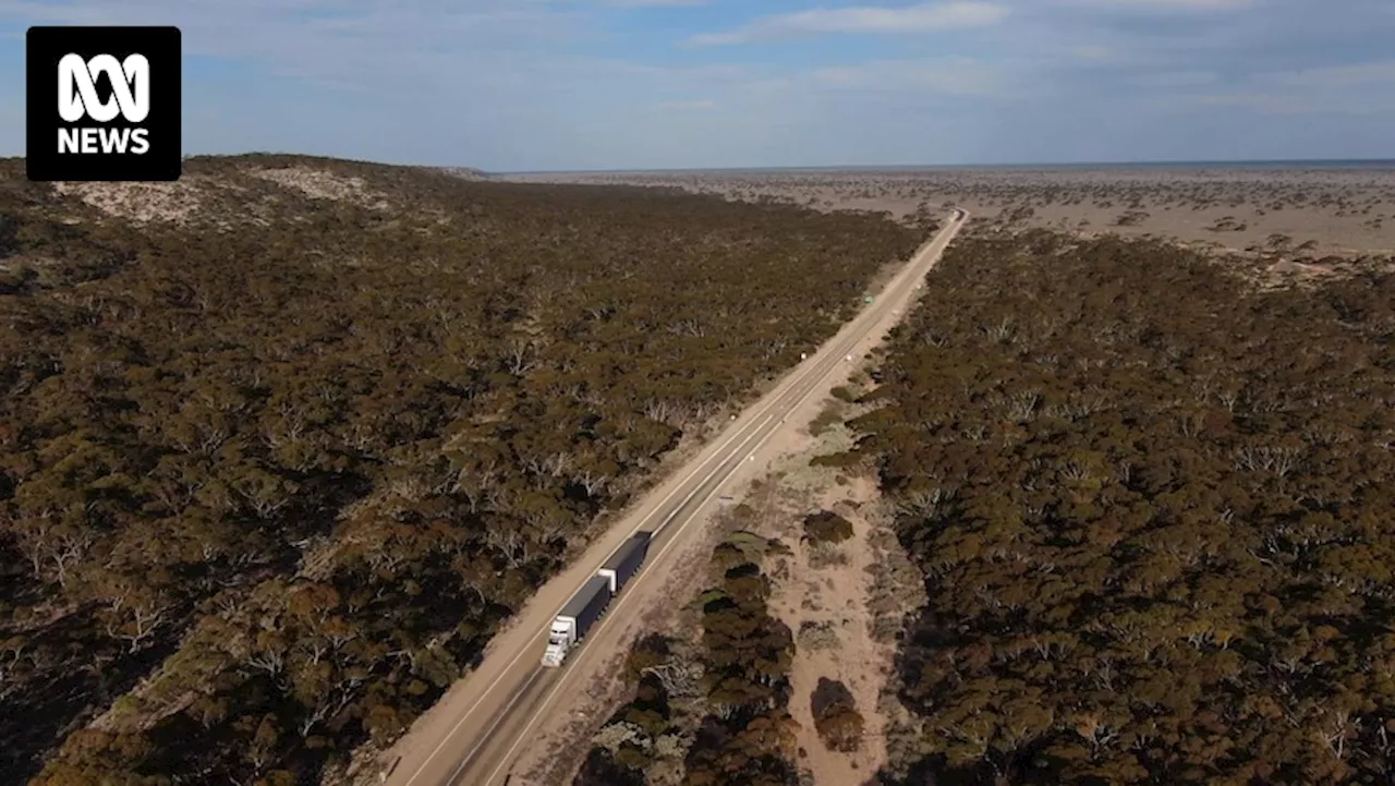 Truck driver charged over outback cyclist's death in Indian Pacific road race