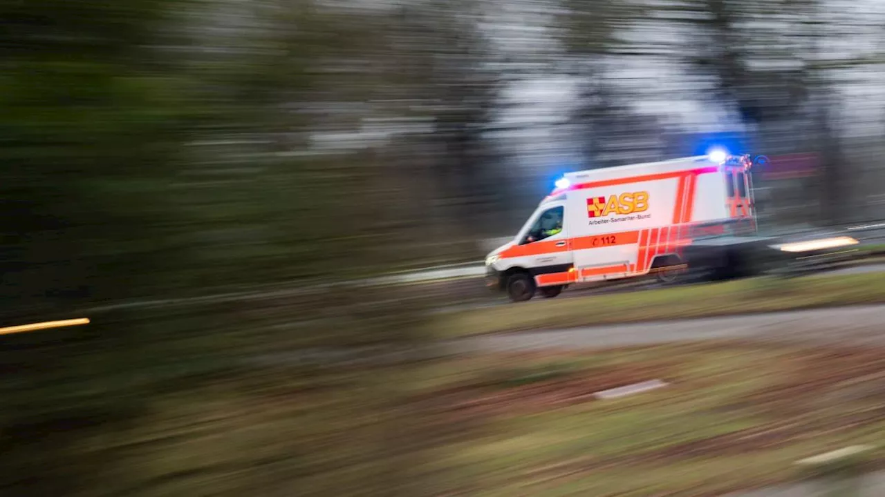 Baum fällt auf Waldarbeiter: Schwer verletzt