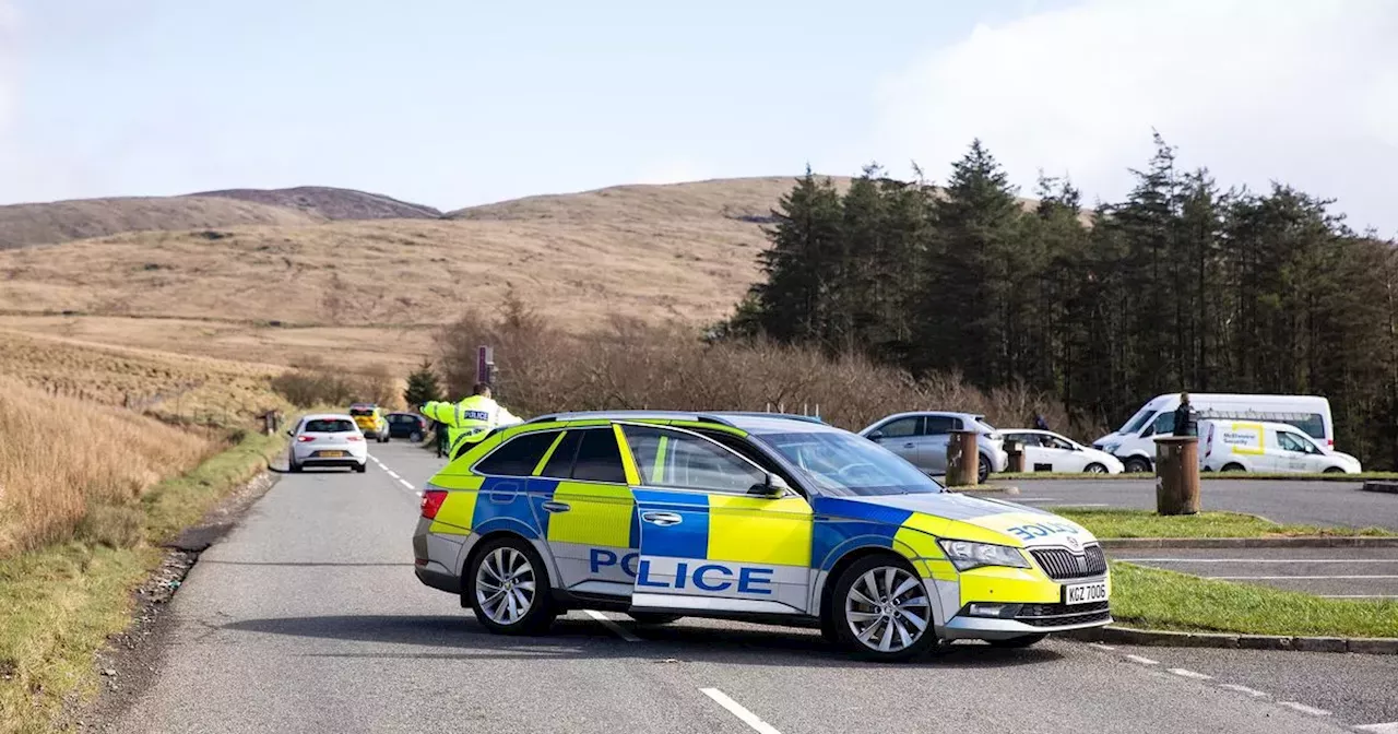 Man in his 70s arrested after Co Down crash