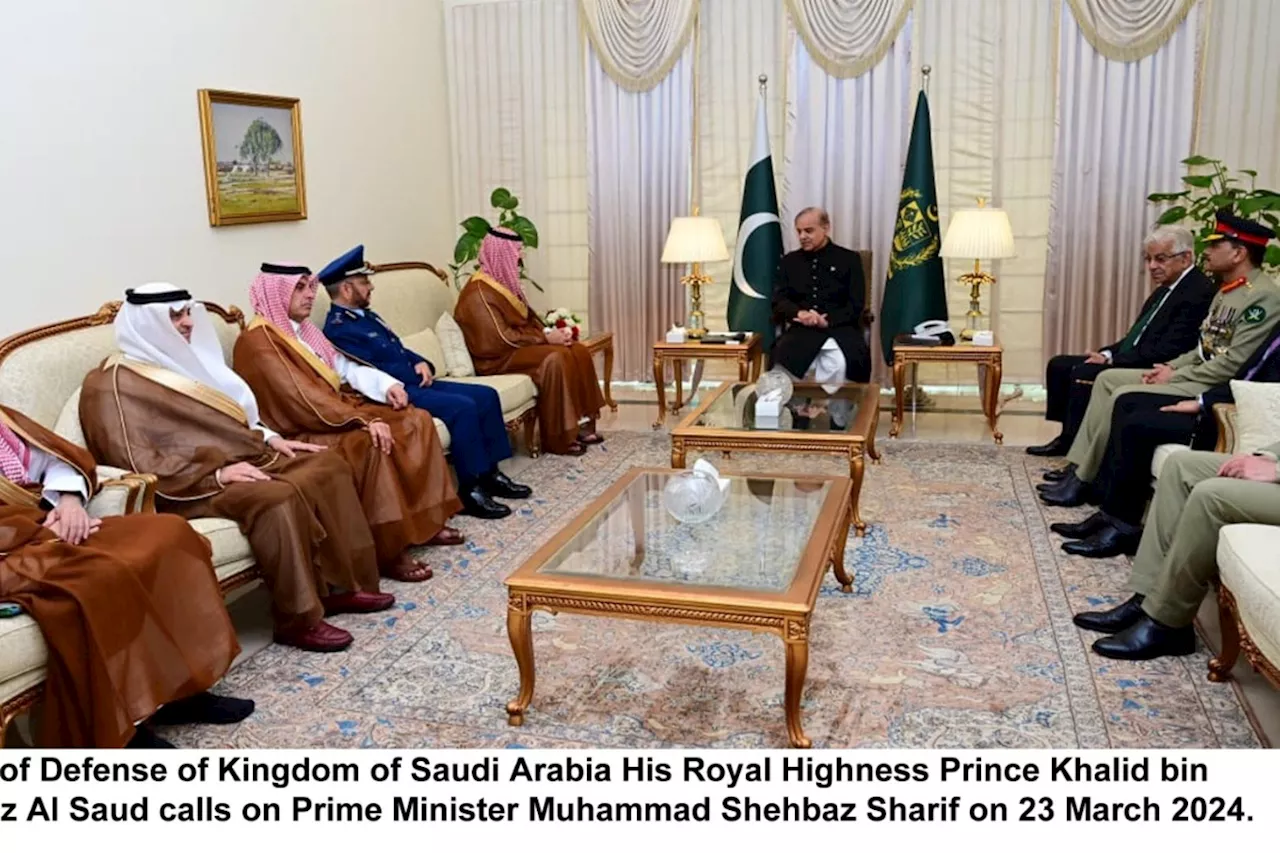 PM, Saudi Defence Mnister discuss security, regional issues