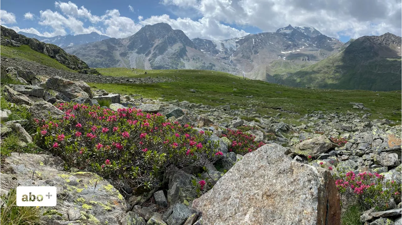 Wandern im Kaunertal: Eine wunderbare Entdeckung abseits der bekannten Pitz- und Ötztäler