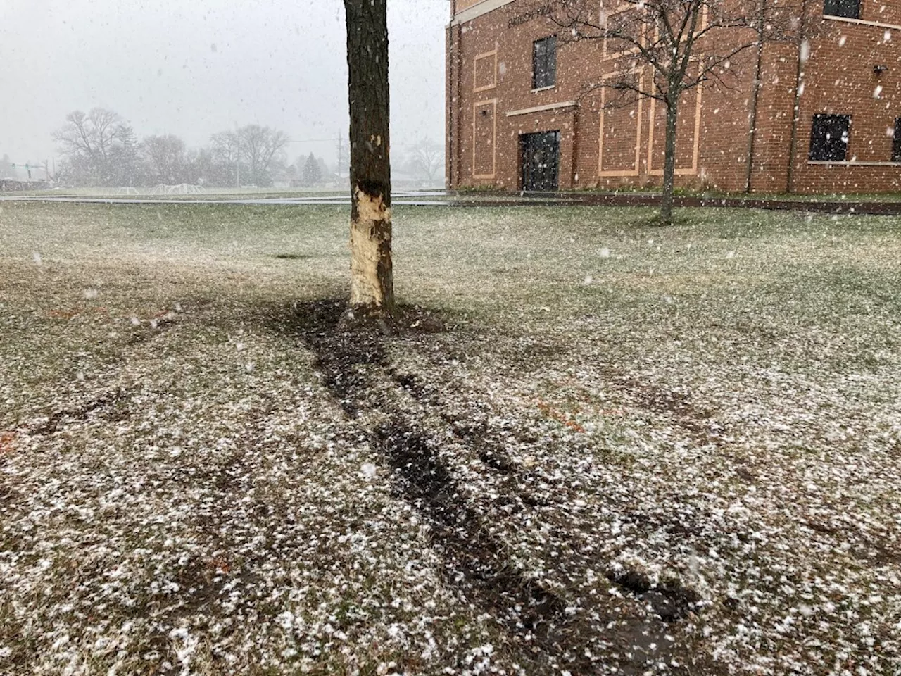 Niles police recover weapon after car crashes into tree on school yard