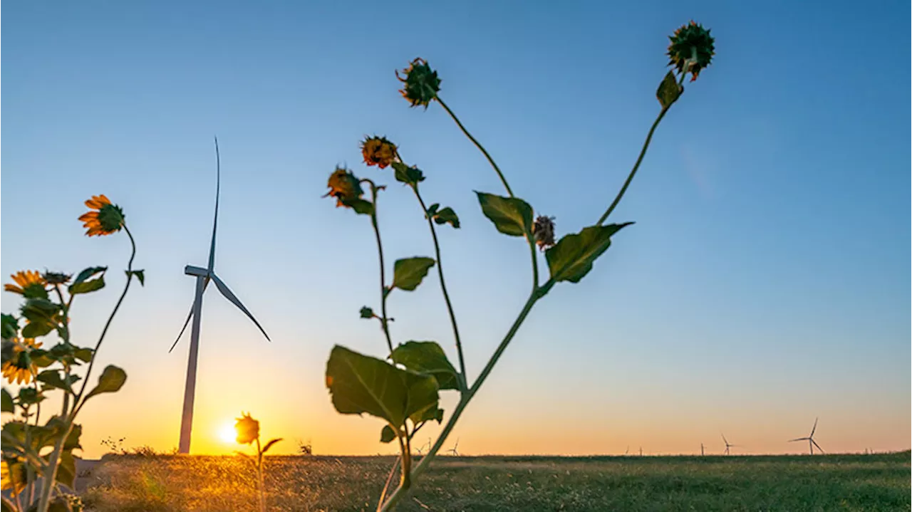 Wind Resource Database Helps Determine Ideal Locations for Wind Turbines