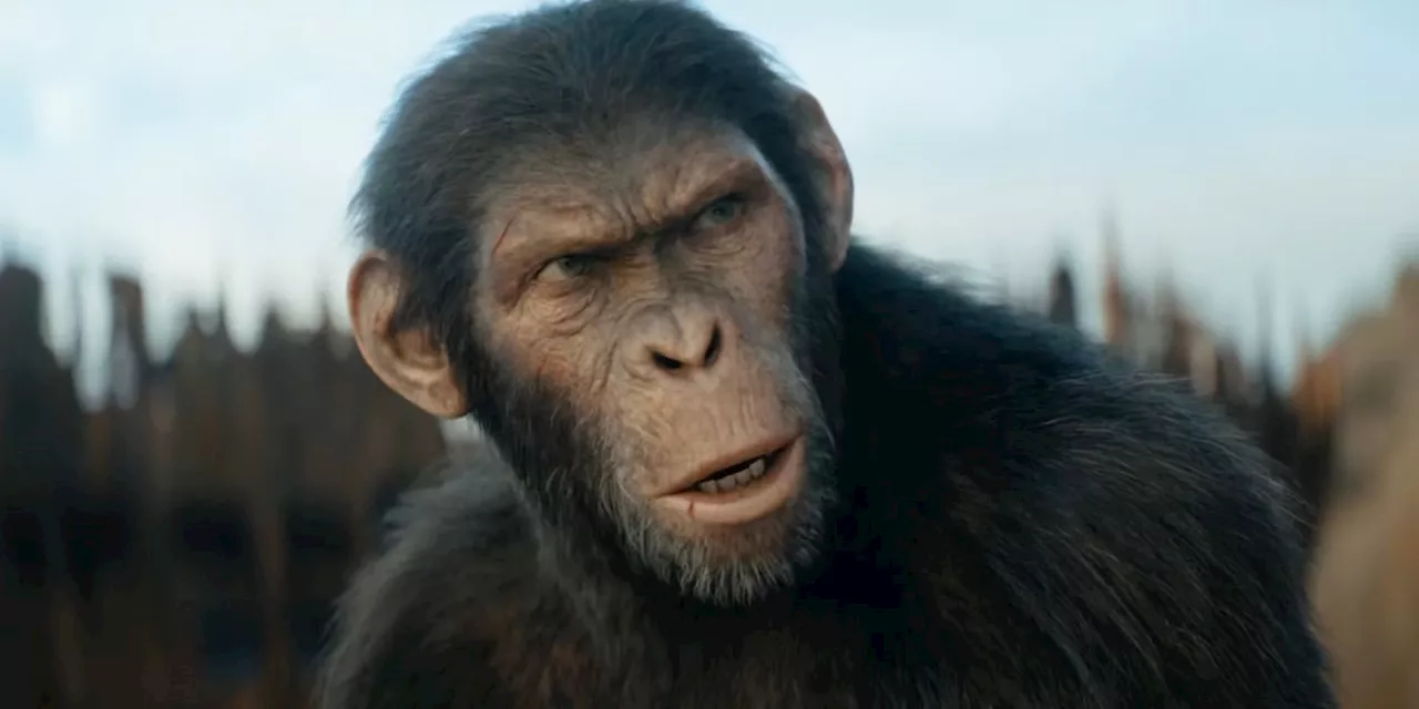 'Kingdom of the Planet of the Apes' Trailer — Noa Defies Proximus Caesar