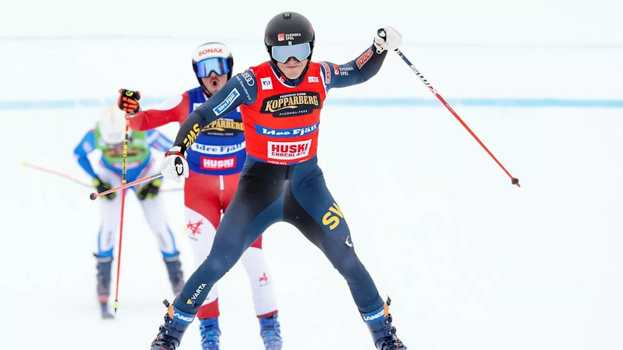 Mobärg vinner totala världscupen i skicross