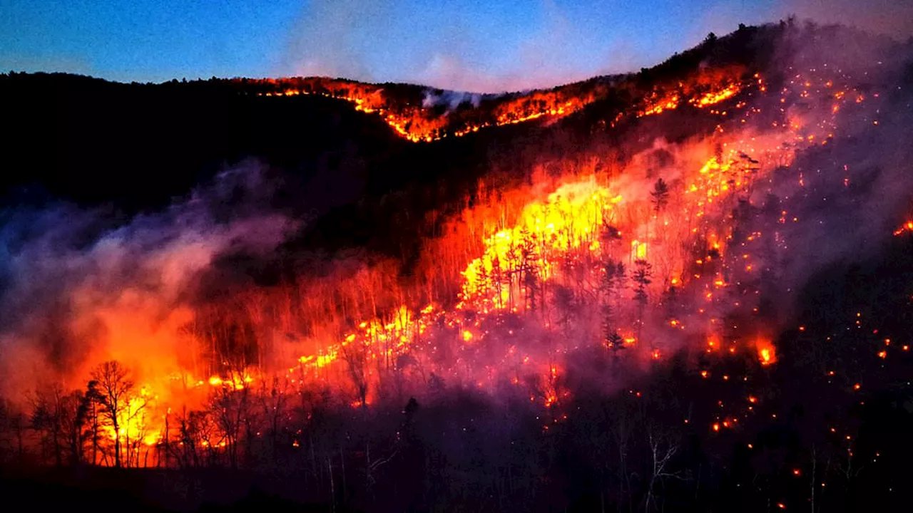 Helicopters battle West Virginia wildfires with 4,000 acres destroyed