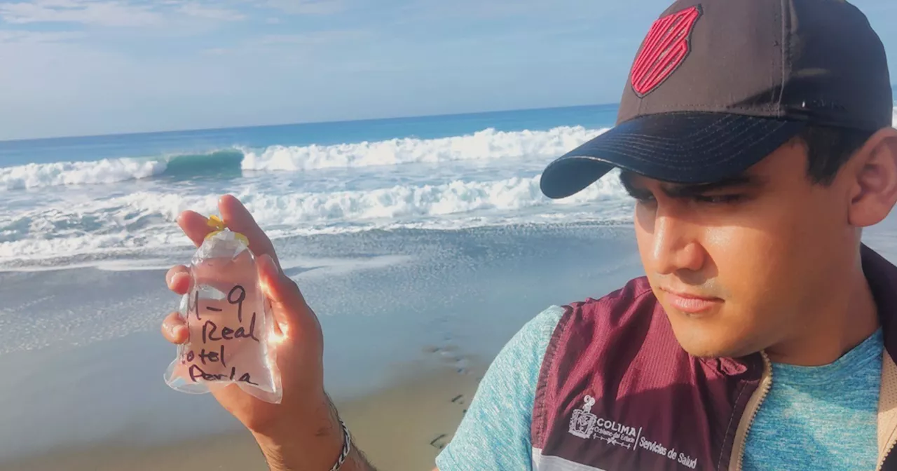 Vacaciones de Semana Santa: Cofepris reporta seis playas de México con altos niveles de bacterias fecales