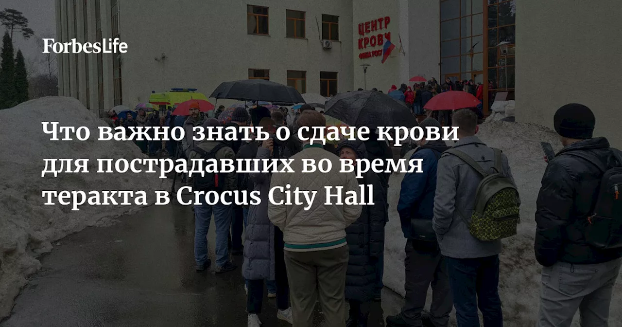 Что важно знать о сдаче крови для пострадавших во время теракта в Crocus City Hall