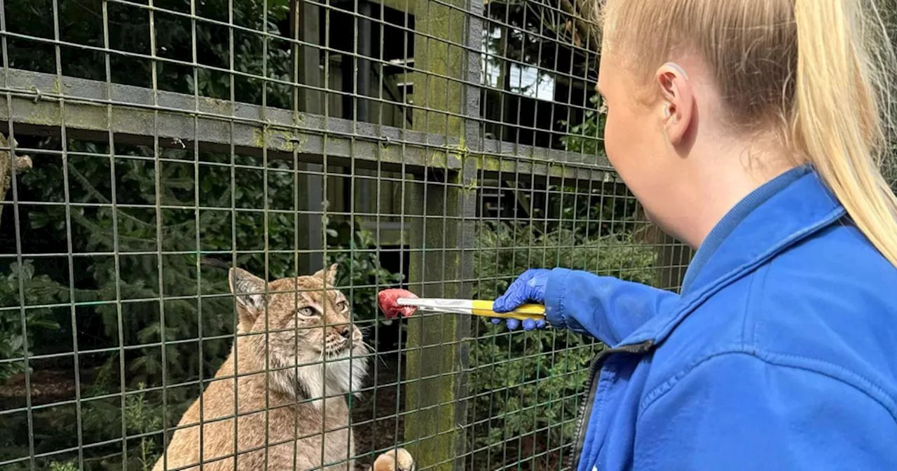 The zoo not far from Glasgow offering epic experiences where you can meet lemurs