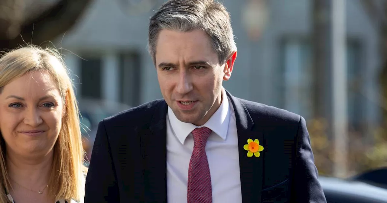 Simon Harris takes the reins of a party in trouble