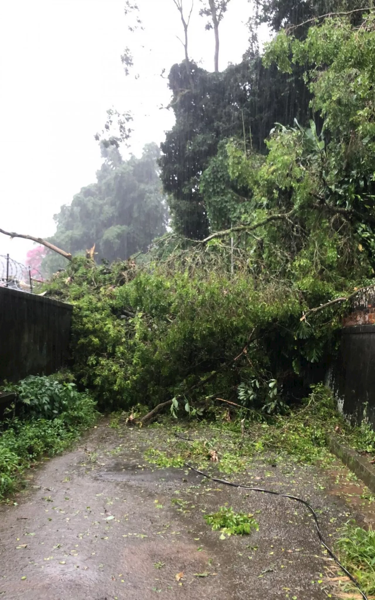 Defesa Civil atualiza para 366 o número de ocorrências registradas em função da chuva em Petrópolis