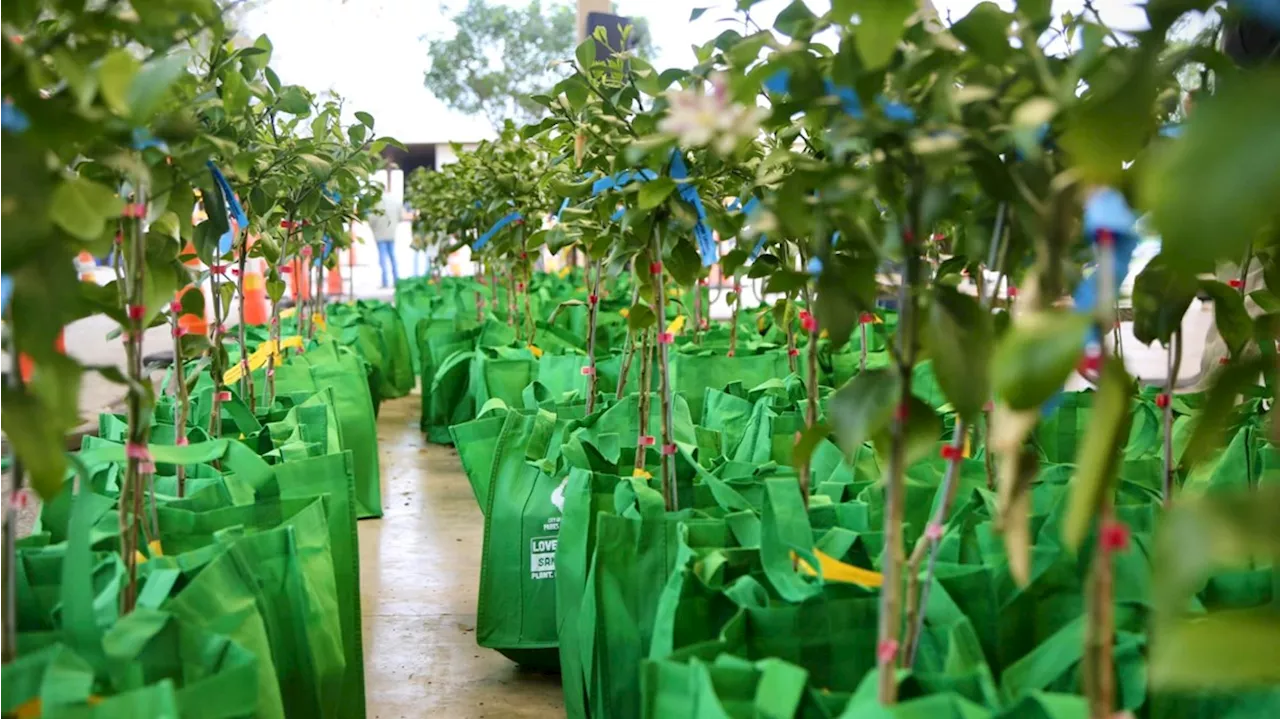 SA Parks & Recreation giving away 1,000 fruit trees!