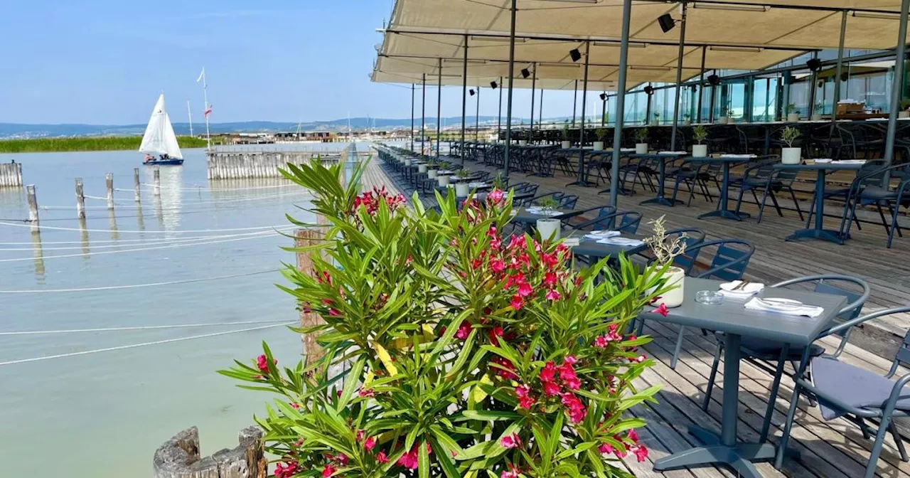 Neue Speisekarte und Weinauswahl am Neusiedlersee