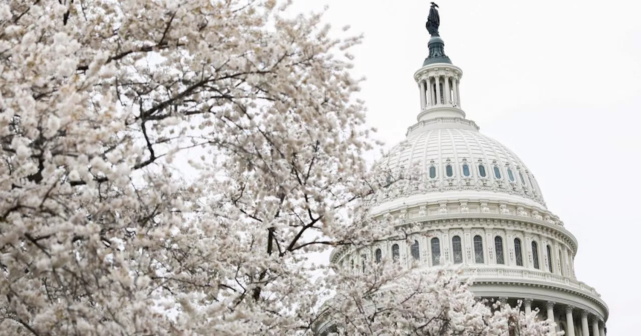 Shutdown abgewendet: US-Senat verabschiedete Budgetpaket