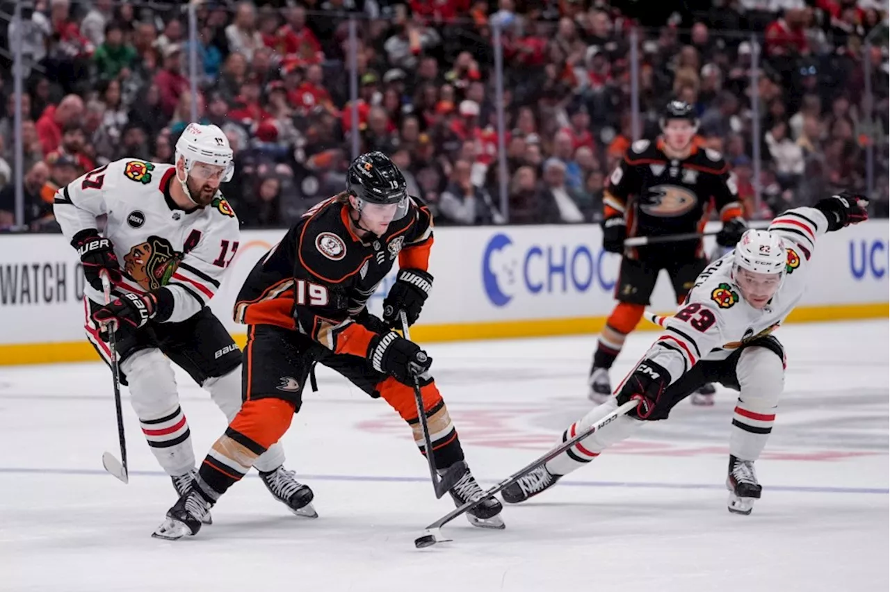 Ducks getting healthier with Lightning up next