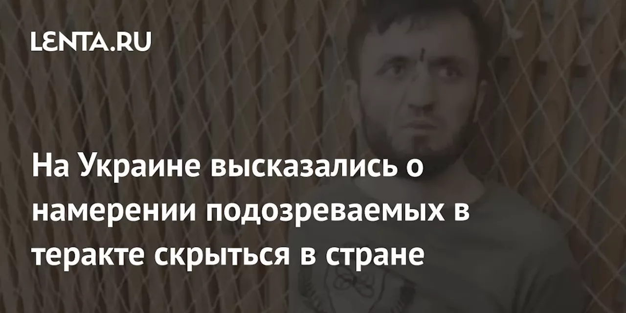 На Украине высказались о намерении подозреваемых в теракте скрыться в стране